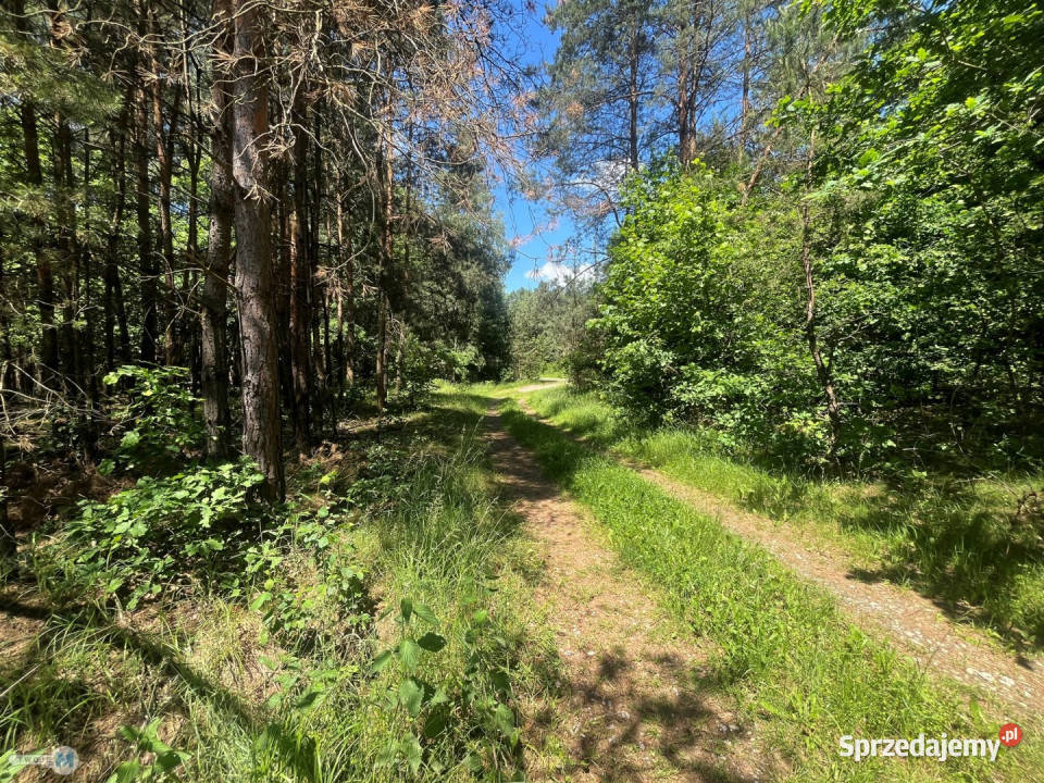 Działka 4300m2 BuskoZdrój Sprzedaż