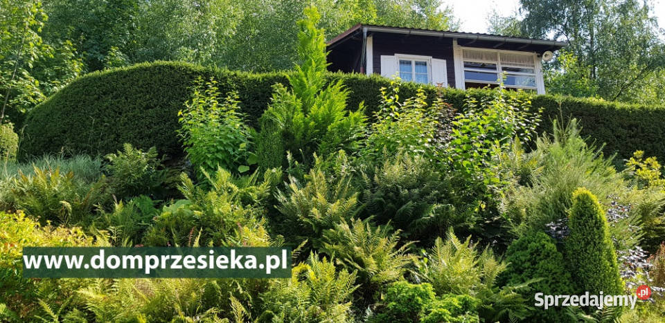 Działka częściowo budowlana z domkiem Przesieka