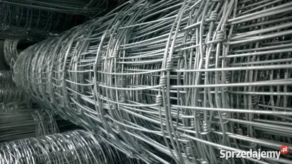 Siatka leśna 1802415L Drut 20mm Ostrołęka