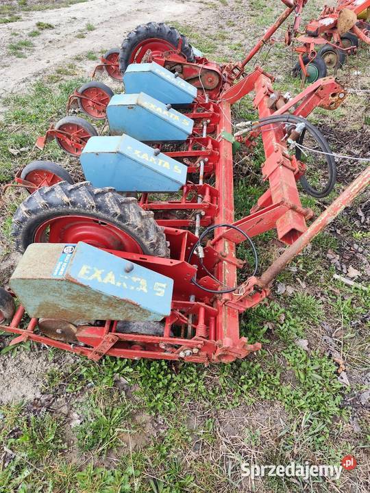 Siewnik do kukurydzy Chełm sprzedam