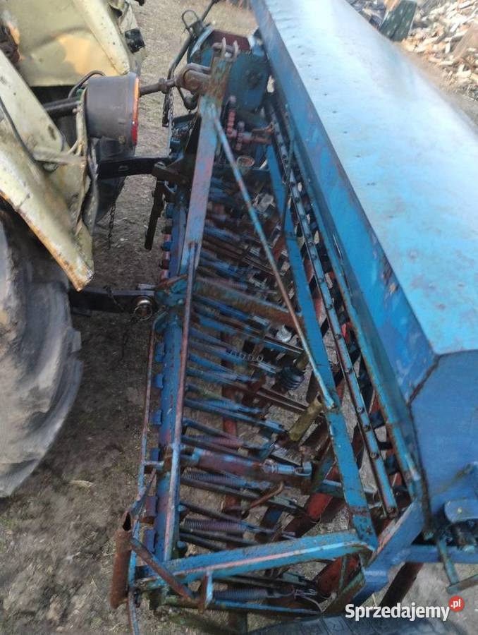 Siewnik Fiona Paradyż