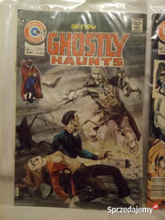 Komiksy Charlton stany brązowa era USA