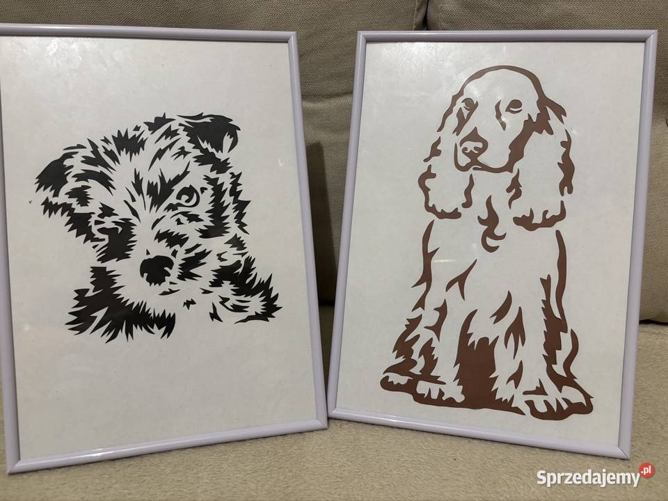 PSY I KOTY Sieradz sprzedam