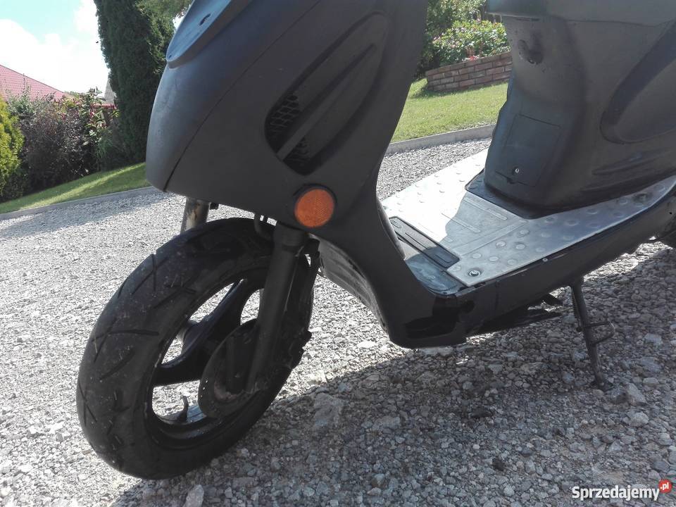 Kingway Koyot lubelskie Zakrzówek