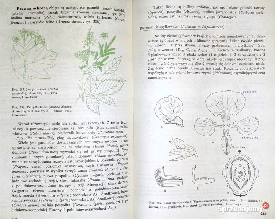 Biologia kl 1 LO M Podbielkowska Z Podbielkowski Chełm