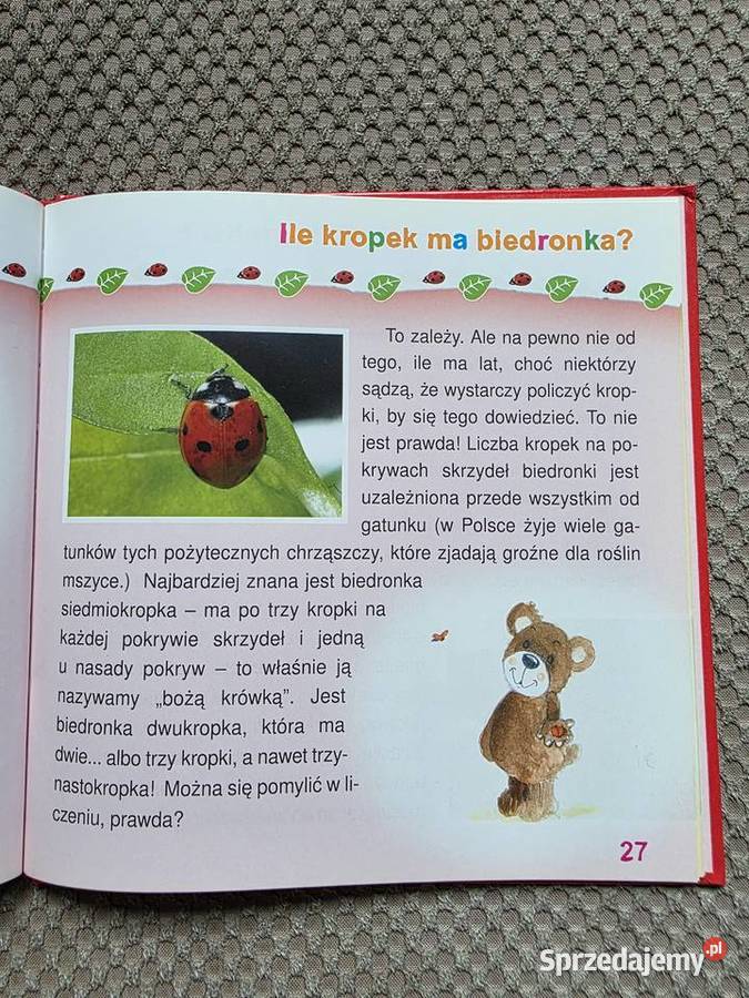 seria Zapytaj Misia o ZWIERZĘTA Kraków sprzedam