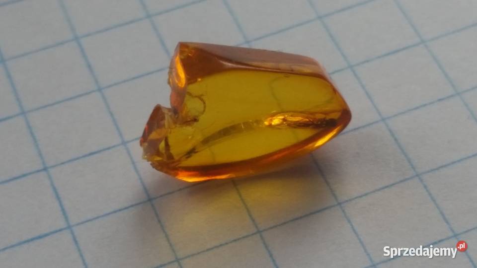 4mm owad w bursztynie dobra widoczność Suszec sprzedam