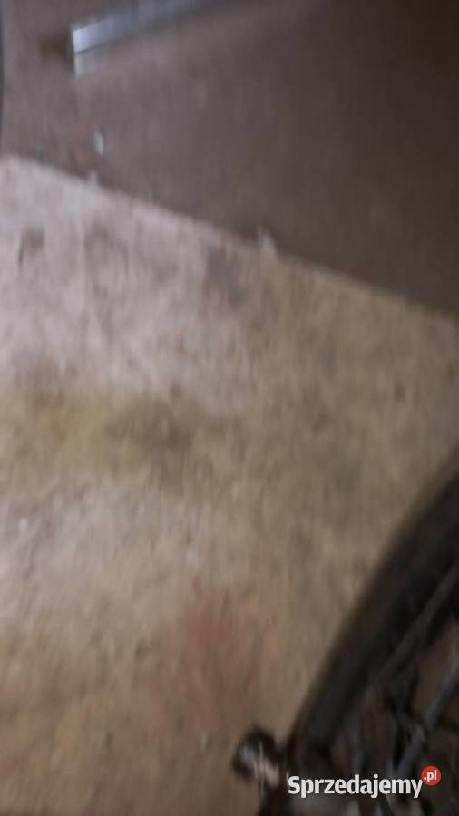 Koło nsu bmw jawa opolskie Wawelno