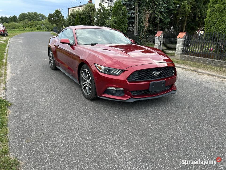 Ford Mustang 2016 wydech MBRP Mustang Nowe Miasto Lubawskie
