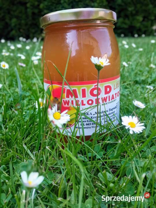 Miód wielokwiatowy z rejonów Lubelskich śląskie Mysłowice
