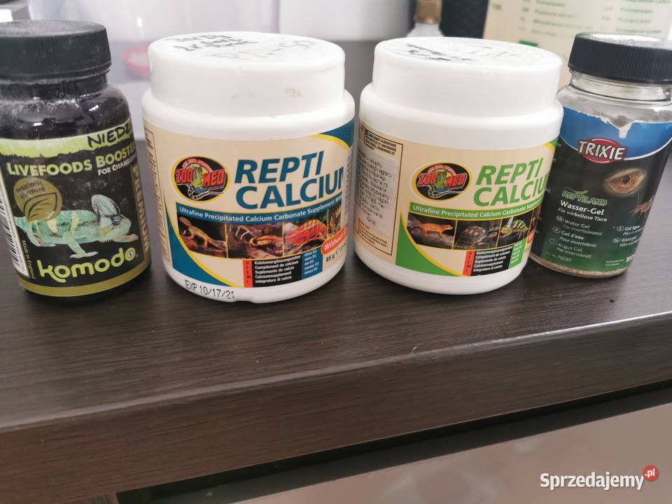 Kameleon jemeński z terrarium i wyposażeniem Zwierzęta śląskie Jaworzno