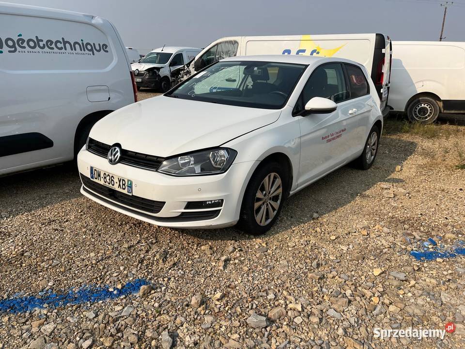 VOLKSWAGEN Golf VII 16 TDI 105 BlueMotion CTTE Wrocław