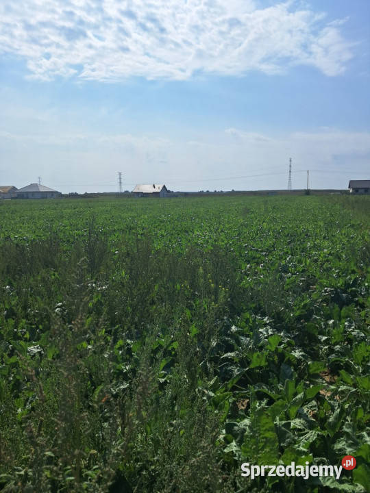 Uzbrojona działka Gm Puchaczów sprzedam