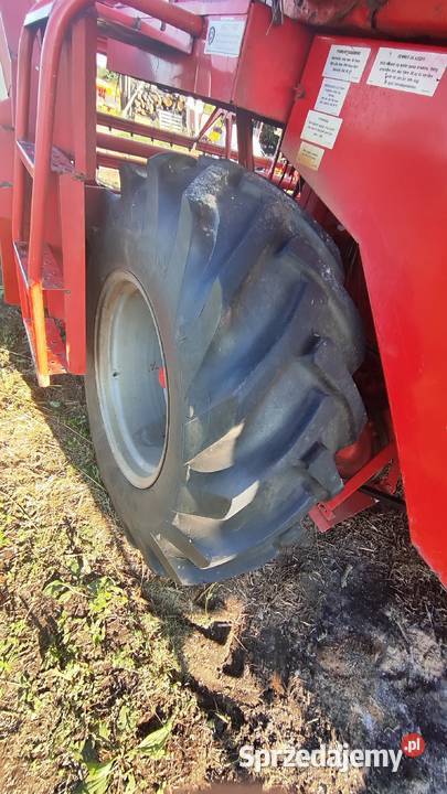 Kombajn Massey Ferguson 240 nieuszkodzony lubelskie Tomaszów Lubelski