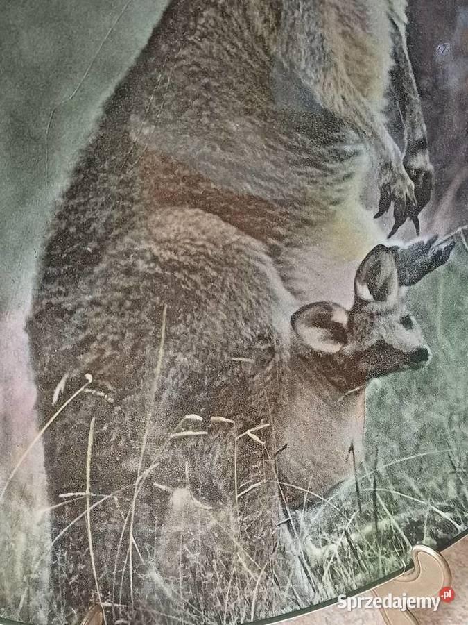 vintage kolekcjonerski talerz