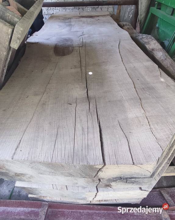 Monolit odziomka jesion 260letni Błażowa