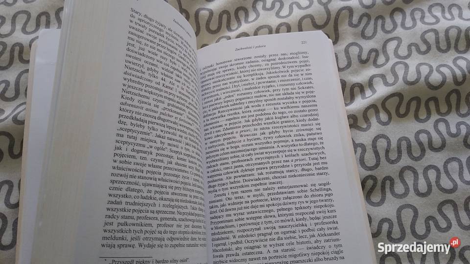 Na szalach Hioba duchowe wędrówki Lew Szestow tł Gdańsk