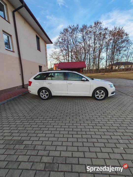 koda Octavia 16 TDI 115 2019 r 1600cm3 Opoczno