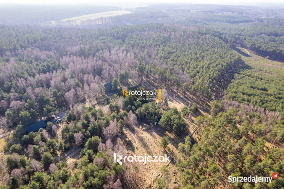 Grunt na sprzedaż 9751m2 Sasino Stara Cegielnia