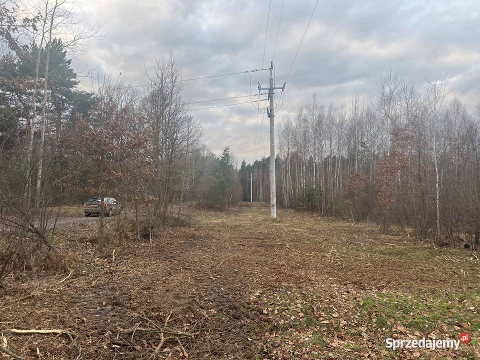 Wycinka drzew rozdrabnianie gałęzi mulczer Pozostałe świętokrzyskie Korczyn