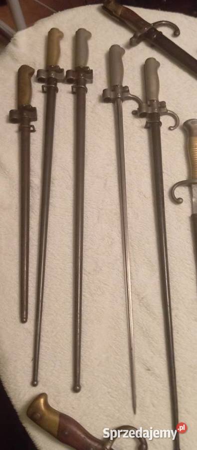 Bagnety francuskie Sonina