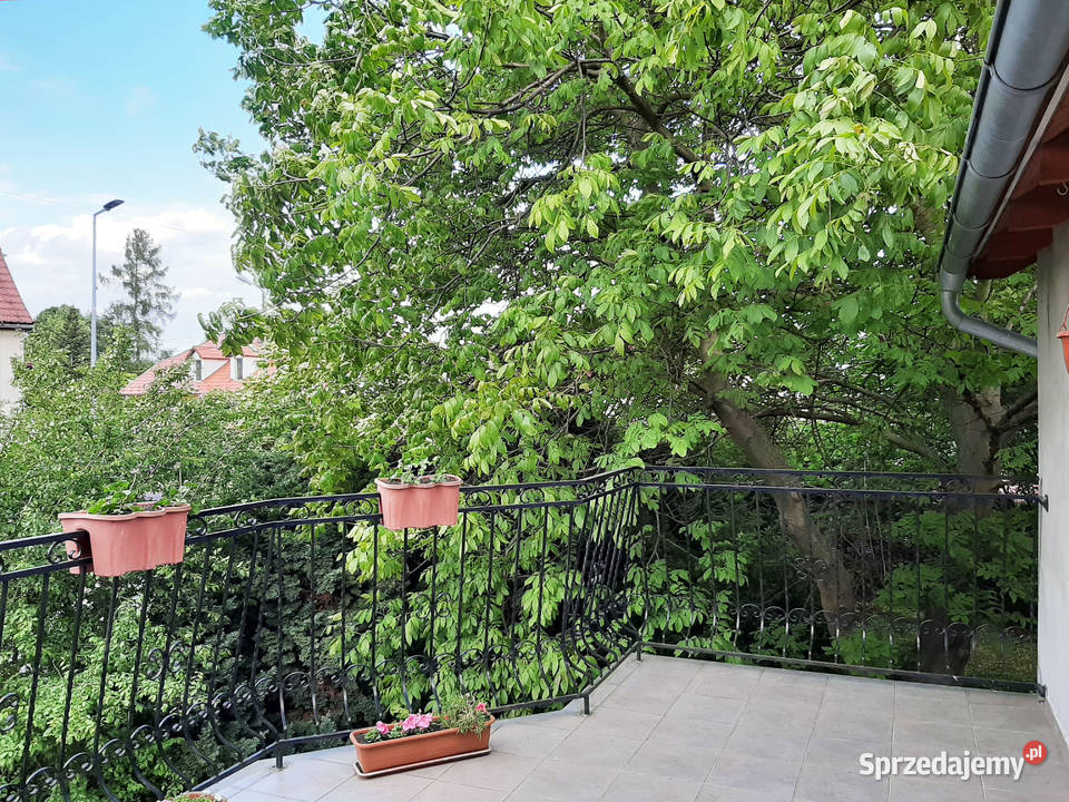 Dom z dużym ogrodem 5 min Bolesławca Warta