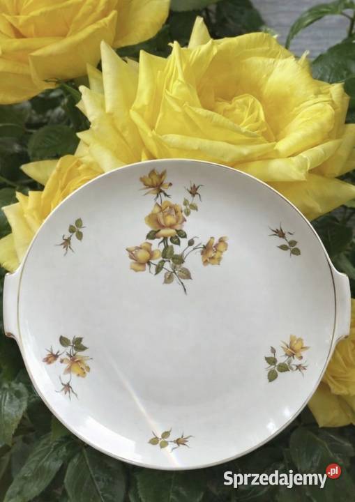 Porcelana zdobiona motywem róż łódzkie Pabianice