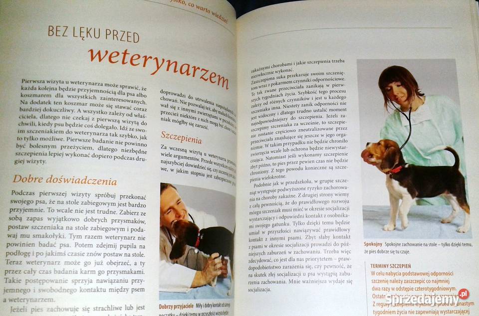 Wychowywanie psa Renate Jones Rok wydania 2014 lubelskie Chełm sprzedam