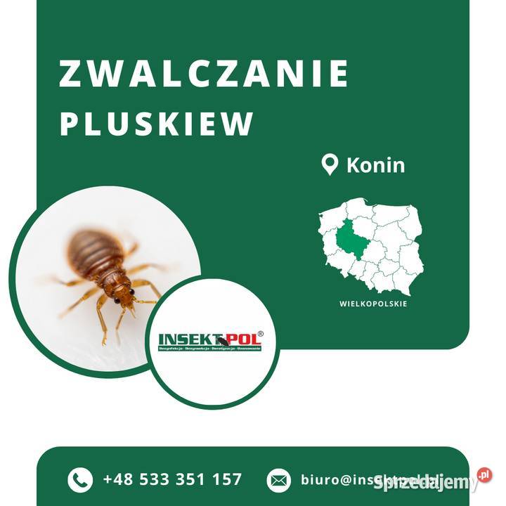 Zwalczanie pluskiew Konin Skuteczna Dezynsekcja