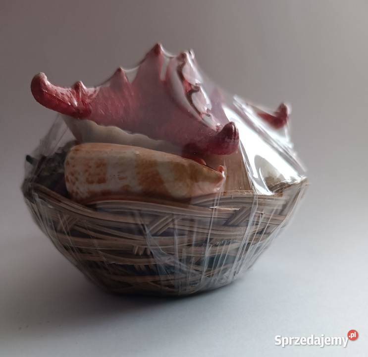 Muszelki Pamiątka znad morza Warszawa