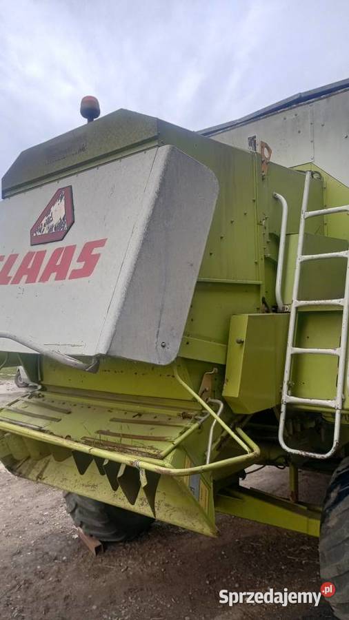 Claas commandor 116 CS heder 550 Niedźwiedzica