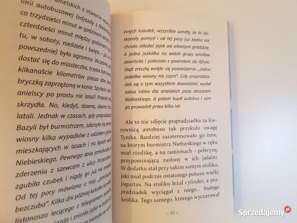 Tymek magik czy anielinek zachodniopomorskie