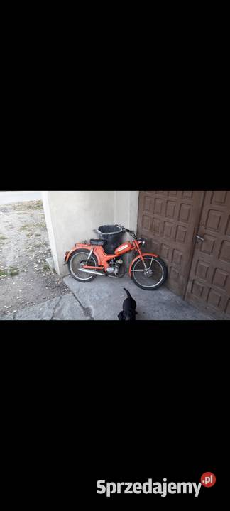 Komar stan 5555km