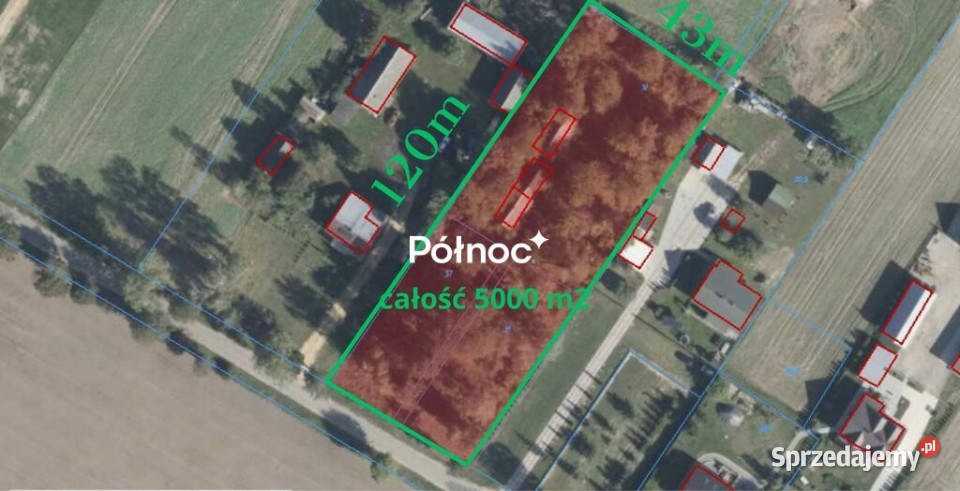 Siedlisko z sadem Pojelce gm Biała Podlaska