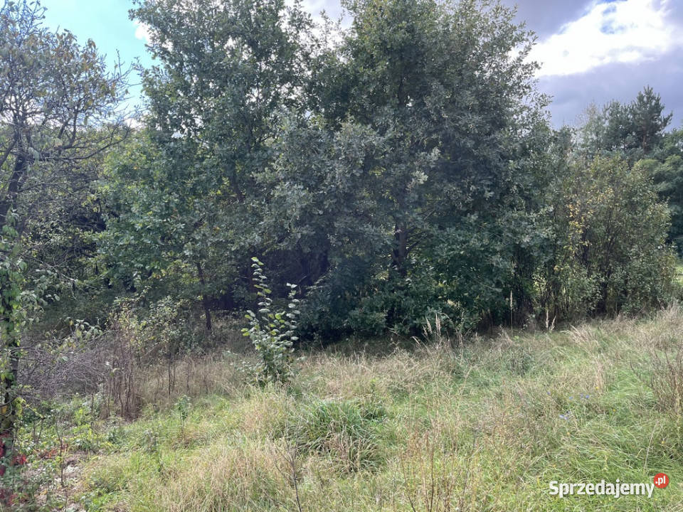 Działka 1441 m2 prze drodze 747 w Lipie Miklas Lipa-Miklas