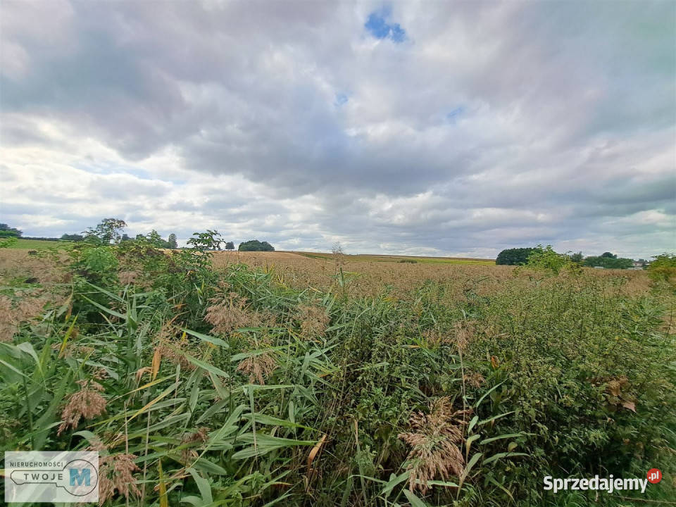 Dom do sprzedania 57m2 Ożarów świętokrzyskie