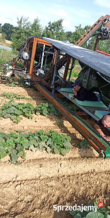 Samolot do zbioru ogórków