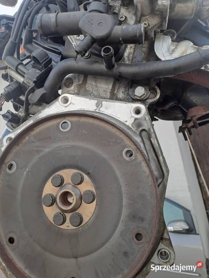 Audi Seat Skoda Volkswagen 16 8V 102 silnik kod Rok produkcji 2009 Jastrzębie-Zdrój