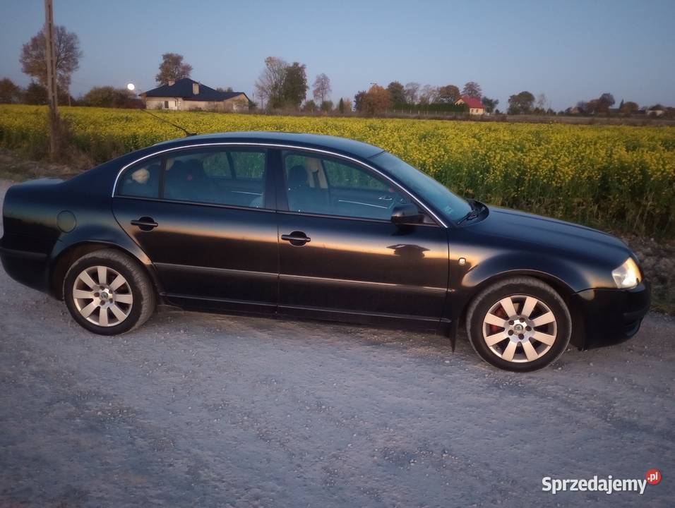 Skoda superb bez korozji Iłża