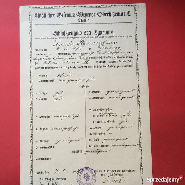 Dokument niemiecki Antyki, Sztuka, Kolekcje zachodniopomorskie Szczecin sprzedam