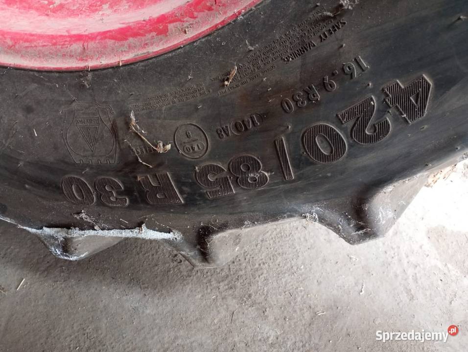 Opony 42085 r30 169 r30 mitas zetor major Korfantów