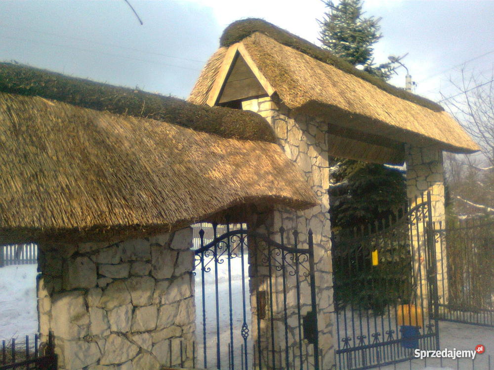 trzcina Trzebnica sprzedam