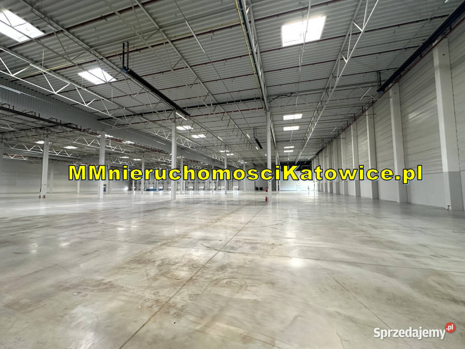 Lokal na wynajem Piotrków Trybunalski 10400m2