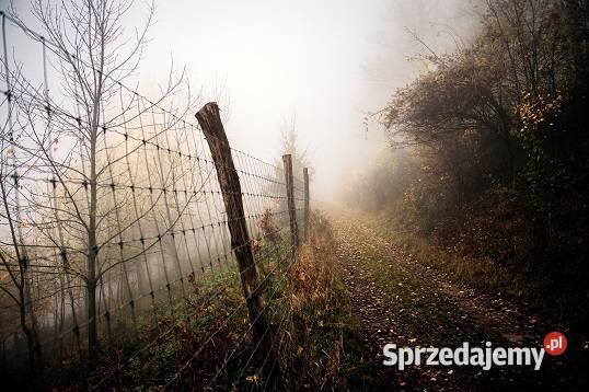 Siatka ogrodzeniowa leśna 1201515L SARNY KROWY mazowieckie