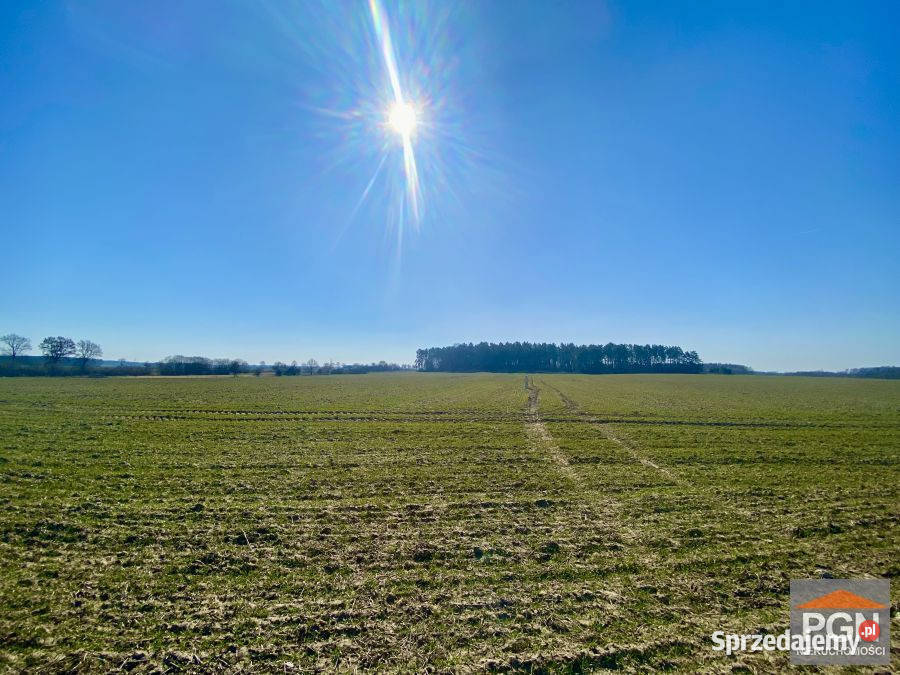 Działka Gryfice 3055m2 zachodniopomorskie