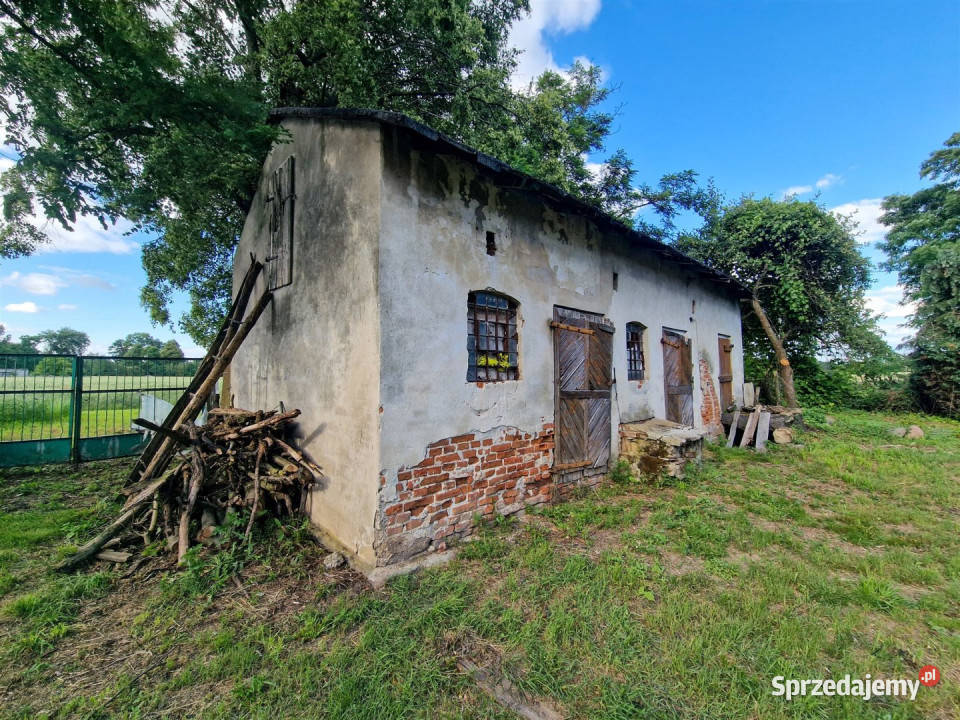 Dom sprzedam Mikołajewice 60m2 7043m2