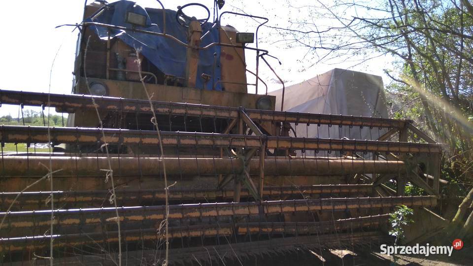 Tadeusz uszkodzony Siwkowice