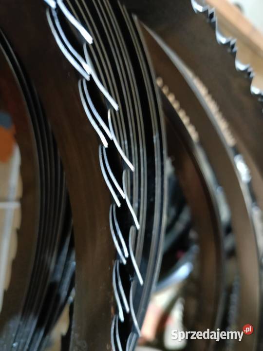 Piły tasmowe brzeszczoty Wierzbica