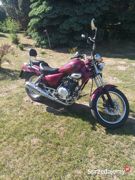Chopper rex 125 125cm3 kujawsko-pomorskie Chełmno sprzedam