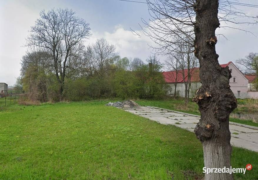 Działka Milejowice 5100m2 Sprzedaż